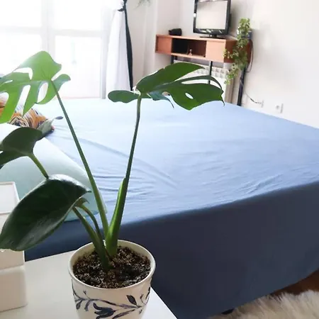 Apartamento Housingleon- Casa Oliva Con Garaje *