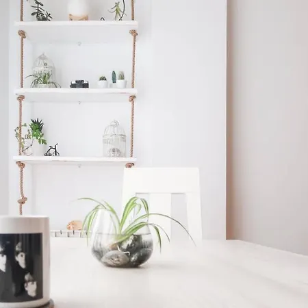 Housingleon- Casa Oliva Con Opcion A Garaje Leão