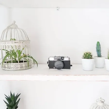 Housingleon- Casa Oliva Con Opcion A Garaje Apartamento Leão