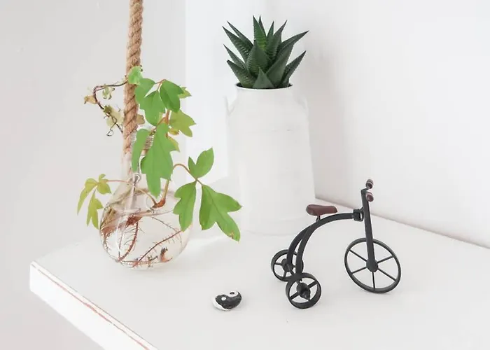 Apartment Housingleon- Casa Oliva Con Opcion A Garaje León