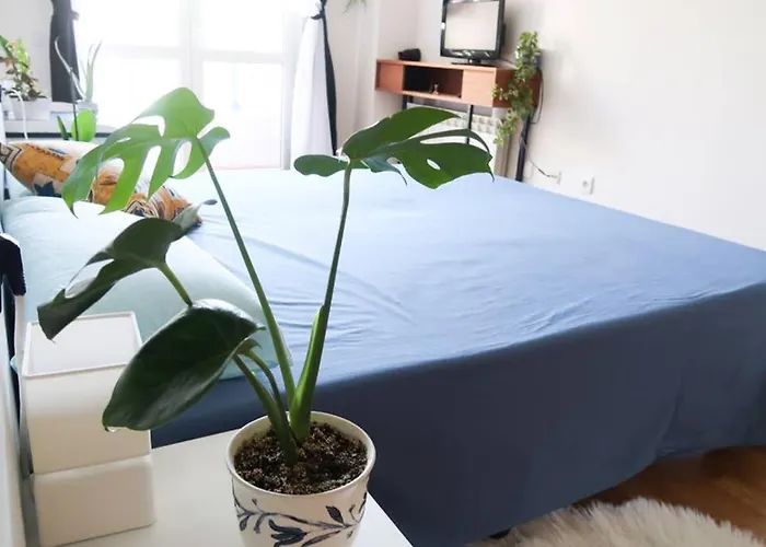 아파트 Housingleon- Casa Oliva Con Opcion A Garaje *